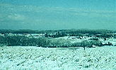 Real Colors... This is what the ice storm did near Mt Airy, Maryland